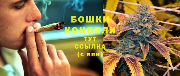 прущие грибы Верхнеуральск