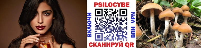 Купить закладки Вяземский Псилоцибиновые грибы прущие грибы